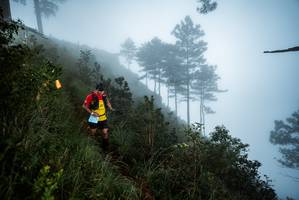 BIB: 
                            <button type="button" onclick="openModal(25018918)" class="btn btn-primary btn-sm float-right btn-popup" data-toggle="modal" data-target=".modal-high-quality">
                        <i class="fas fa-shopping-cart"></i> Add to Cart
                    </button>
                                            <button type="button" onclick="isThisMe(25018918, true)" class="btn btn-success btn-sm float-right btn-popup btn-isme hidden" data-toggle="tooltip" data-placement="bottom" title="นี่คือรูปของคุณใช่ไหม คลิกที่นี่เพื่อเอาเข้าอัลบั้ม">
                        <i class="fas fa-plus"></i> Add to album
                    </button>
                    <button type="button" onclick="isThisMe(25018918, false)" class="btn btn-warning btn-sm float-right btn-popup btn-isnotme hidden">
                        <i class="fas fa-ban"></i> Remove from album
                    </button>