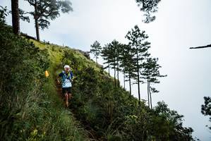 BIB: 
                            <button type="button" onclick="openModal(25018493)" class="btn btn-primary btn-sm float-right btn-popup" data-toggle="modal" data-target=".modal-high-quality">
                        <i class="fas fa-shopping-cart"></i> Add to Cart
                    </button>
                                            <button type="button" onclick="isThisMe(25018493, true)" class="btn btn-success btn-sm float-right btn-popup btn-isme hidden" data-toggle="tooltip" data-placement="bottom" title="นี่คือรูปของคุณใช่ไหม คลิกที่นี่เพื่อเอาเข้าอัลบั้ม">
                        <i class="fas fa-plus"></i> Add to album
                    </button>
                    <button type="button" onclick="isThisMe(25018493, false)" class="btn btn-warning btn-sm float-right btn-popup btn-isnotme hidden">
                        <i class="fas fa-ban"></i> Remove from album
                    </button>