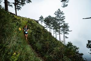 BIB: 
                            <button type="button" onclick="openModal(25018508)" class="btn btn-primary btn-sm float-right btn-popup" data-toggle="modal" data-target=".modal-high-quality">
                        <i class="fas fa-shopping-cart"></i> Add to Cart
                    </button>
                                            <button type="button" onclick="isThisMe(25018508, true)" class="btn btn-success btn-sm float-right btn-popup btn-isme hidden" data-toggle="tooltip" data-placement="bottom" title="นี่คือรูปของคุณใช่ไหม คลิกที่นี่เพื่อเอาเข้าอัลบั้ม">
                        <i class="fas fa-plus"></i> Add to album
                    </button>
                    <button type="button" onclick="isThisMe(25018508, false)" class="btn btn-warning btn-sm float-right btn-popup btn-isnotme hidden">
                        <i class="fas fa-ban"></i> Remove from album
                    </button>