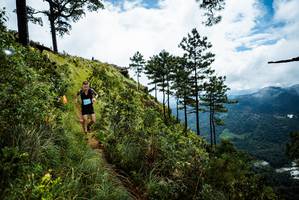 BIB: 
                            <button type="button" onclick="openModal(25017335)" class="btn btn-primary btn-sm float-right btn-popup" data-toggle="modal" data-target=".modal-high-quality">
                        <i class="fas fa-shopping-cart"></i> Add to Cart
                    </button>
                                            <button type="button" onclick="isThisMe(25017335, true)" class="btn btn-success btn-sm float-right btn-popup btn-isme hidden" data-toggle="tooltip" data-placement="bottom" title="นี่คือรูปของคุณใช่ไหม คลิกที่นี่เพื่อเอาเข้าอัลบั้ม">
                        <i class="fas fa-plus"></i> Add to album
                    </button>
                    <button type="button" onclick="isThisMe(25017335, false)" class="btn btn-warning btn-sm float-right btn-popup btn-isnotme hidden">
                        <i class="fas fa-ban"></i> Remove from album
                    </button>