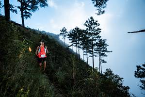 BIB: 
                            <button type="button" onclick="openModal(25019063)" class="btn btn-primary btn-sm float-right btn-popup" data-toggle="modal" data-target=".modal-high-quality">
                        <i class="fas fa-shopping-cart"></i> Add to Cart
                    </button>
                                            <button type="button" onclick="isThisMe(25019063, true)" class="btn btn-success btn-sm float-right btn-popup btn-isme hidden" data-toggle="tooltip" data-placement="bottom" title="นี่คือรูปของคุณใช่ไหม คลิกที่นี่เพื่อเอาเข้าอัลบั้ม">
                        <i class="fas fa-plus"></i> Add to album
                    </button>
                    <button type="button" onclick="isThisMe(25019063, false)" class="btn btn-warning btn-sm float-right btn-popup btn-isnotme hidden">
                        <i class="fas fa-ban"></i> Remove from album
                    </button>