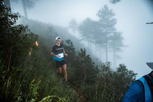 BIB: 
                            <button type="button" onclick="openModal(25016834)" class="btn btn-primary btn-sm float-right btn-popup" data-toggle="modal" data-target=".modal-high-quality">
                        <i class="fas fa-shopping-cart"></i> Add to Cart
                    </button>
                                            <button type="button" onclick="isThisMe(25016834, true)" class="btn btn-success btn-sm float-right btn-popup btn-isme hidden" data-toggle="tooltip" data-placement="bottom" title="นี่คือรูปของคุณใช่ไหม คลิกที่นี่เพื่อเอาเข้าอัลบั้ม">
                        <i class="fas fa-plus"></i> Add to album
                    </button>
                    <button type="button" onclick="isThisMe(25016834, false)" class="btn btn-warning btn-sm float-right btn-popup btn-isnotme hidden">
                        <i class="fas fa-ban"></i> Remove from album
                    </button>