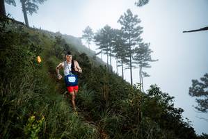 BIB: 
                            <button type="button" onclick="openModal(25017950)" class="btn btn-primary btn-sm float-right btn-popup" data-toggle="modal" data-target=".modal-high-quality">
                        <i class="fas fa-shopping-cart"></i> Add to Cart
                    </button>
                                            <button type="button" onclick="isThisMe(25017950, true)" class="btn btn-success btn-sm float-right btn-popup btn-isme hidden" data-toggle="tooltip" data-placement="bottom" title="นี่คือรูปของคุณใช่ไหม คลิกที่นี่เพื่อเอาเข้าอัลบั้ม">
                        <i class="fas fa-plus"></i> Add to album
                    </button>
                    <button type="button" onclick="isThisMe(25017950, false)" class="btn btn-warning btn-sm float-right btn-popup btn-isnotme hidden">
                        <i class="fas fa-ban"></i> Remove from album
                    </button>