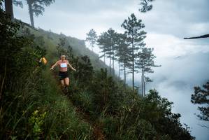 BIB: 
                            <button type="button" onclick="openModal(25017015)" class="btn btn-primary btn-sm float-right btn-popup" data-toggle="modal" data-target=".modal-high-quality">
                        <i class="fas fa-shopping-cart"></i> Add to Cart
                    </button>
                                            <button type="button" onclick="isThisMe(25017015, true)" class="btn btn-success btn-sm float-right btn-popup btn-isme hidden" data-toggle="tooltip" data-placement="bottom" title="นี่คือรูปของคุณใช่ไหม คลิกที่นี่เพื่อเอาเข้าอัลบั้ม">
                        <i class="fas fa-plus"></i> Add to album
                    </button>
                    <button type="button" onclick="isThisMe(25017015, false)" class="btn btn-warning btn-sm float-right btn-popup btn-isnotme hidden">
                        <i class="fas fa-ban"></i> Remove from album
                    </button>