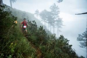 BIB: 
                            <button type="button" onclick="openModal(25016995)" class="btn btn-primary btn-sm float-right btn-popup" data-toggle="modal" data-target=".modal-high-quality">
                        <i class="fas fa-shopping-cart"></i> Add to Cart
                    </button>
                                            <button type="button" onclick="isThisMe(25016995, true)" class="btn btn-success btn-sm float-right btn-popup btn-isme hidden" data-toggle="tooltip" data-placement="bottom" title="นี่คือรูปของคุณใช่ไหม คลิกที่นี่เพื่อเอาเข้าอัลบั้ม">
                        <i class="fas fa-plus"></i> Add to album
                    </button>
                    <button type="button" onclick="isThisMe(25016995, false)" class="btn btn-warning btn-sm float-right btn-popup btn-isnotme hidden">
                        <i class="fas fa-ban"></i> Remove from album
                    </button>