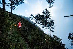 BIB: 
                            <button type="button" onclick="openModal(25019054)" class="btn btn-primary btn-sm float-right btn-popup" data-toggle="modal" data-target=".modal-high-quality">
                        <i class="fas fa-shopping-cart"></i> Add to Cart
                    </button>
                                            <button type="button" onclick="isThisMe(25019054, true)" class="btn btn-success btn-sm float-right btn-popup btn-isme hidden" data-toggle="tooltip" data-placement="bottom" title="นี่คือรูปของคุณใช่ไหม คลิกที่นี่เพื่อเอาเข้าอัลบั้ม">
                        <i class="fas fa-plus"></i> Add to album
                    </button>
                    <button type="button" onclick="isThisMe(25019054, false)" class="btn btn-warning btn-sm float-right btn-popup btn-isnotme hidden">
                        <i class="fas fa-ban"></i> Remove from album
                    </button>