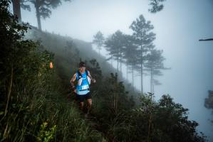 BIB: 
                            <button type="button" onclick="openModal(25018748)" class="btn btn-primary btn-sm float-right btn-popup" data-toggle="modal" data-target=".modal-high-quality">
                        <i class="fas fa-shopping-cart"></i> Add to Cart
                    </button>
                                            <button type="button" onclick="isThisMe(25018748, true)" class="btn btn-success btn-sm float-right btn-popup btn-isme hidden" data-toggle="tooltip" data-placement="bottom" title="นี่คือรูปของคุณใช่ไหม คลิกที่นี่เพื่อเอาเข้าอัลบั้ม">
                        <i class="fas fa-plus"></i> Add to album
                    </button>
                    <button type="button" onclick="isThisMe(25018748, false)" class="btn btn-warning btn-sm float-right btn-popup btn-isnotme hidden">
                        <i class="fas fa-ban"></i> Remove from album
                    </button>