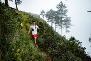 BIB: 
                            <button type="button" onclick="openModal(25017995)" class="btn btn-primary btn-sm float-right btn-popup" data-toggle="modal" data-target=".modal-high-quality">
                        <i class="fas fa-shopping-cart"></i> Add to Cart
                    </button>
                                            <button type="button" onclick="isThisMe(25017995, true)" class="btn btn-success btn-sm float-right btn-popup btn-isme hidden" data-toggle="tooltip" data-placement="bottom" title="นี่คือรูปของคุณใช่ไหม คลิกที่นี่เพื่อเอาเข้าอัลบั้ม">
                        <i class="fas fa-plus"></i> Add to album
                    </button>
                    <button type="button" onclick="isThisMe(25017995, false)" class="btn btn-warning btn-sm float-right btn-popup btn-isnotme hidden">
                        <i class="fas fa-ban"></i> Remove from album
                    </button>