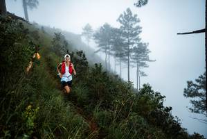 BIB: 
                            <button type="button" onclick="openModal(25017060)" class="btn btn-primary btn-sm float-right btn-popup" data-toggle="modal" data-target=".modal-high-quality">
                        <i class="fas fa-shopping-cart"></i> Add to Cart
                    </button>
                                            <button type="button" onclick="isThisMe(25017060, true)" class="btn btn-success btn-sm float-right btn-popup btn-isme hidden" data-toggle="tooltip" data-placement="bottom" title="นี่คือรูปของคุณใช่ไหม คลิกที่นี่เพื่อเอาเข้าอัลบั้ม">
                        <i class="fas fa-plus"></i> Add to album
                    </button>
                    <button type="button" onclick="isThisMe(25017060, false)" class="btn btn-warning btn-sm float-right btn-popup btn-isnotme hidden">
                        <i class="fas fa-ban"></i> Remove from album
                    </button>