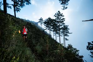 BIB: 
                            <button type="button" onclick="openModal(25019058)" class="btn btn-primary btn-sm float-right btn-popup" data-toggle="modal" data-target=".modal-high-quality">
                        <i class="fas fa-shopping-cart"></i> Add to Cart
                    </button>
                                            <button type="button" onclick="isThisMe(25019058, true)" class="btn btn-success btn-sm float-right btn-popup btn-isme hidden" data-toggle="tooltip" data-placement="bottom" title="นี่คือรูปของคุณใช่ไหม คลิกที่นี่เพื่อเอาเข้าอัลบั้ม">
                        <i class="fas fa-plus"></i> Add to album
                    </button>
                    <button type="button" onclick="isThisMe(25019058, false)" class="btn btn-warning btn-sm float-right btn-popup btn-isnotme hidden">
                        <i class="fas fa-ban"></i> Remove from album
                    </button>