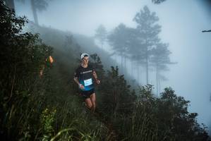 BIB: 
                            <button type="button" onclick="openModal(25016832)" class="btn btn-primary btn-sm float-right btn-popup" data-toggle="modal" data-target=".modal-high-quality">
                        <i class="fas fa-shopping-cart"></i> Add to Cart
                    </button>
                                            <button type="button" onclick="isThisMe(25016832, true)" class="btn btn-success btn-sm float-right btn-popup btn-isme hidden" data-toggle="tooltip" data-placement="bottom" title="นี่คือรูปของคุณใช่ไหม คลิกที่นี่เพื่อเอาเข้าอัลบั้ม">
                        <i class="fas fa-plus"></i> Add to album
                    </button>
                    <button type="button" onclick="isThisMe(25016832, false)" class="btn btn-warning btn-sm float-right btn-popup btn-isnotme hidden">
                        <i class="fas fa-ban"></i> Remove from album
                    </button>