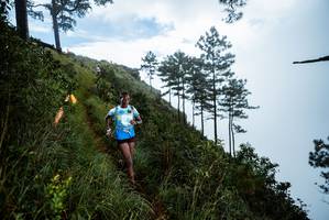 BIB: 
                            <button type="button" onclick="openModal(25017153)" class="btn btn-primary btn-sm float-right btn-popup" data-toggle="modal" data-target=".modal-high-quality">
                        <i class="fas fa-shopping-cart"></i> Add to Cart
                    </button>
                                            <button type="button" onclick="isThisMe(25017153, true)" class="btn btn-success btn-sm float-right btn-popup btn-isme hidden" data-toggle="tooltip" data-placement="bottom" title="นี่คือรูปของคุณใช่ไหม คลิกที่นี่เพื่อเอาเข้าอัลบั้ม">
                        <i class="fas fa-plus"></i> Add to album
                    </button>
                    <button type="button" onclick="isThisMe(25017153, false)" class="btn btn-warning btn-sm float-right btn-popup btn-isnotme hidden">
                        <i class="fas fa-ban"></i> Remove from album
                    </button>