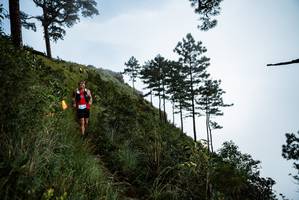 BIB: 
                            <button type="button" onclick="openModal(25018455)" class="btn btn-primary btn-sm float-right btn-popup" data-toggle="modal" data-target=".modal-high-quality">
                        <i class="fas fa-shopping-cart"></i> Add to Cart
                    </button>
                                            <button type="button" onclick="isThisMe(25018455, true)" class="btn btn-success btn-sm float-right btn-popup btn-isme hidden" data-toggle="tooltip" data-placement="bottom" title="นี่คือรูปของคุณใช่ไหม คลิกที่นี่เพื่อเอาเข้าอัลบั้ม">
                        <i class="fas fa-plus"></i> Add to album
                    </button>
                    <button type="button" onclick="isThisMe(25018455, false)" class="btn btn-warning btn-sm float-right btn-popup btn-isnotme hidden">
                        <i class="fas fa-ban"></i> Remove from album
                    </button>