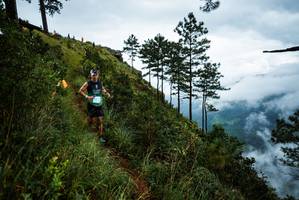 BIB: 
                            <button type="button" onclick="openModal(25017035)" class="btn btn-primary btn-sm float-right btn-popup" data-toggle="modal" data-target=".modal-high-quality">
                        <i class="fas fa-shopping-cart"></i> Add to Cart
                    </button>
                                            <button type="button" onclick="isThisMe(25017035, true)" class="btn btn-success btn-sm float-right btn-popup btn-isme hidden" data-toggle="tooltip" data-placement="bottom" title="นี่คือรูปของคุณใช่ไหม คลิกที่นี่เพื่อเอาเข้าอัลบั้ม">
                        <i class="fas fa-plus"></i> Add to album
                    </button>
                    <button type="button" onclick="isThisMe(25017035, false)" class="btn btn-warning btn-sm float-right btn-popup btn-isnotme hidden">
                        <i class="fas fa-ban"></i> Remove from album
                    </button>