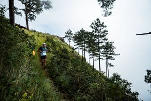 BIB: 
                            <button type="button" onclick="openModal(25018486)" class="btn btn-primary btn-sm float-right btn-popup" data-toggle="modal" data-target=".modal-high-quality">
                        <i class="fas fa-shopping-cart"></i> Add to Cart
                    </button>
                                            <button type="button" onclick="isThisMe(25018486, true)" class="btn btn-success btn-sm float-right btn-popup btn-isme hidden" data-toggle="tooltip" data-placement="bottom" title="นี่คือรูปของคุณใช่ไหม คลิกที่นี่เพื่อเอาเข้าอัลบั้ม">
                        <i class="fas fa-plus"></i> Add to album
                    </button>
                    <button type="button" onclick="isThisMe(25018486, false)" class="btn btn-warning btn-sm float-right btn-popup btn-isnotme hidden">
                        <i class="fas fa-ban"></i> Remove from album
                    </button>