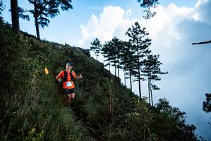 BIB: 
                            <button type="button" onclick="openModal(25019079)" class="btn btn-primary btn-sm float-right btn-popup" data-toggle="modal" data-target=".modal-high-quality">
                        <i class="fas fa-shopping-cart"></i> Add to Cart
                    </button>
                                            <button type="button" onclick="isThisMe(25019079, true)" class="btn btn-success btn-sm float-right btn-popup btn-isme hidden" data-toggle="tooltip" data-placement="bottom" title="นี่คือรูปของคุณใช่ไหม คลิกที่นี่เพื่อเอาเข้าอัลบั้ม">
                        <i class="fas fa-plus"></i> Add to album
                    </button>
                    <button type="button" onclick="isThisMe(25019079, false)" class="btn btn-warning btn-sm float-right btn-popup btn-isnotme hidden">
                        <i class="fas fa-ban"></i> Remove from album
                    </button>