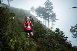 BIB: 
                            <button type="button" onclick="openModal(25018027)" class="btn btn-primary btn-sm float-right btn-popup" data-toggle="modal" data-target=".modal-high-quality">
                        <i class="fas fa-shopping-cart"></i> Add to Cart
                    </button>
                                            <button type="button" onclick="isThisMe(25018027, true)" class="btn btn-success btn-sm float-right btn-popup btn-isme hidden" data-toggle="tooltip" data-placement="bottom" title="นี่คือรูปของคุณใช่ไหม คลิกที่นี่เพื่อเอาเข้าอัลบั้ม">
                        <i class="fas fa-plus"></i> Add to album
                    </button>
                    <button type="button" onclick="isThisMe(25018027, false)" class="btn btn-warning btn-sm float-right btn-popup btn-isnotme hidden">
                        <i class="fas fa-ban"></i> Remove from album
                    </button>