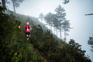 BIB: 
                            <button type="button" onclick="openModal(25018003)" class="btn btn-primary btn-sm float-right btn-popup" data-toggle="modal" data-target=".modal-high-quality">
                        <i class="fas fa-shopping-cart"></i> Add to Cart
                    </button>
                                            <button type="button" onclick="isThisMe(25018003, true)" class="btn btn-success btn-sm float-right btn-popup btn-isme hidden" data-toggle="tooltip" data-placement="bottom" title="นี่คือรูปของคุณใช่ไหม คลิกที่นี่เพื่อเอาเข้าอัลบั้ม">
                        <i class="fas fa-plus"></i> Add to album
                    </button>
                    <button type="button" onclick="isThisMe(25018003, false)" class="btn btn-warning btn-sm float-right btn-popup btn-isnotme hidden">
                        <i class="fas fa-ban"></i> Remove from album
                    </button>