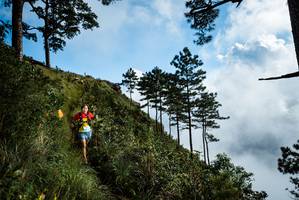 BIB: 
                            <button type="button" onclick="openModal(25019149)" class="btn btn-primary btn-sm float-right btn-popup" data-toggle="modal" data-target=".modal-high-quality">
                        <i class="fas fa-shopping-cart"></i> Add to Cart
                    </button>
                                            <button type="button" onclick="isThisMe(25019149, true)" class="btn btn-success btn-sm float-right btn-popup btn-isme hidden" data-toggle="tooltip" data-placement="bottom" title="นี่คือรูปของคุณใช่ไหม คลิกที่นี่เพื่อเอาเข้าอัลบั้ม">
                        <i class="fas fa-plus"></i> Add to album
                    </button>
                    <button type="button" onclick="isThisMe(25019149, false)" class="btn btn-warning btn-sm float-right btn-popup btn-isnotme hidden">
                        <i class="fas fa-ban"></i> Remove from album
                    </button>