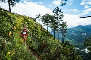 BIB: 
                            <button type="button" onclick="openModal(25017277)" class="btn btn-primary btn-sm float-right btn-popup" data-toggle="modal" data-target=".modal-high-quality">
                        <i class="fas fa-shopping-cart"></i> Add to Cart
                    </button>
                                            <button type="button" onclick="isThisMe(25017277, true)" class="btn btn-success btn-sm float-right btn-popup btn-isme hidden" data-toggle="tooltip" data-placement="bottom" title="นี่คือรูปของคุณใช่ไหม คลิกที่นี่เพื่อเอาเข้าอัลบั้ม">
                        <i class="fas fa-plus"></i> Add to album
                    </button>
                    <button type="button" onclick="isThisMe(25017277, false)" class="btn btn-warning btn-sm float-right btn-popup btn-isnotme hidden">
                        <i class="fas fa-ban"></i> Remove from album
                    </button>