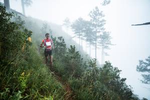 BIB: 
                            <button type="button" onclick="openModal(25016921)" class="btn btn-primary btn-sm float-right btn-popup" data-toggle="modal" data-target=".modal-high-quality">
                        <i class="fas fa-shopping-cart"></i> Add to Cart
                    </button>
                                            <button type="button" onclick="isThisMe(25016921, true)" class="btn btn-success btn-sm float-right btn-popup btn-isme hidden" data-toggle="tooltip" data-placement="bottom" title="นี่คือรูปของคุณใช่ไหม คลิกที่นี่เพื่อเอาเข้าอัลบั้ม">
                        <i class="fas fa-plus"></i> Add to album
                    </button>
                    <button type="button" onclick="isThisMe(25016921, false)" class="btn btn-warning btn-sm float-right btn-popup btn-isnotme hidden">
                        <i class="fas fa-ban"></i> Remove from album
                    </button>