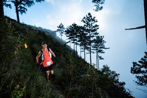 BIB: 
                            <button type="button" onclick="openModal(25019069)" class="btn btn-primary btn-sm float-right btn-popup" data-toggle="modal" data-target=".modal-high-quality">
                        <i class="fas fa-shopping-cart"></i> Add to Cart
                    </button>
                                            <button type="button" onclick="isThisMe(25019069, true)" class="btn btn-success btn-sm float-right btn-popup btn-isme hidden" data-toggle="tooltip" data-placement="bottom" title="นี่คือรูปของคุณใช่ไหม คลิกที่นี่เพื่อเอาเข้าอัลบั้ม">
                        <i class="fas fa-plus"></i> Add to album
                    </button>
                    <button type="button" onclick="isThisMe(25019069, false)" class="btn btn-warning btn-sm float-right btn-popup btn-isnotme hidden">
                        <i class="fas fa-ban"></i> Remove from album
                    </button>