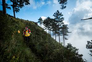 BIB: 
                            <button type="button" onclick="openModal(25019165)" class="btn btn-primary btn-sm float-right btn-popup" data-toggle="modal" data-target=".modal-high-quality">
                        <i class="fas fa-shopping-cart"></i> Add to Cart
                    </button>
                                            <button type="button" onclick="isThisMe(25019165, true)" class="btn btn-success btn-sm float-right btn-popup btn-isme hidden" data-toggle="tooltip" data-placement="bottom" title="นี่คือรูปของคุณใช่ไหม คลิกที่นี่เพื่อเอาเข้าอัลบั้ม">
                        <i class="fas fa-plus"></i> Add to album
                    </button>
                    <button type="button" onclick="isThisMe(25019165, false)" class="btn btn-warning btn-sm float-right btn-popup btn-isnotme hidden">
                        <i class="fas fa-ban"></i> Remove from album
                    </button>