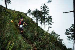 BIB: 
                            <button type="button" onclick="openModal(25018261)" class="btn btn-primary btn-sm float-right btn-popup" data-toggle="modal" data-target=".modal-high-quality">
                        <i class="fas fa-shopping-cart"></i> Add to Cart
                    </button>
                                            <button type="button" onclick="isThisMe(25018261, true)" class="btn btn-success btn-sm float-right btn-popup btn-isme hidden" data-toggle="tooltip" data-placement="bottom" title="นี่คือรูปของคุณใช่ไหม คลิกที่นี่เพื่อเอาเข้าอัลบั้ม">
                        <i class="fas fa-plus"></i> Add to album
                    </button>
                    <button type="button" onclick="isThisMe(25018261, false)" class="btn btn-warning btn-sm float-right btn-popup btn-isnotme hidden">
                        <i class="fas fa-ban"></i> Remove from album
                    </button>