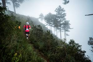 BIB: 
                            <button type="button" onclick="openModal(25018001)" class="btn btn-primary btn-sm float-right btn-popup" data-toggle="modal" data-target=".modal-high-quality">
                        <i class="fas fa-shopping-cart"></i> Add to Cart
                    </button>
                                            <button type="button" onclick="isThisMe(25018001, true)" class="btn btn-success btn-sm float-right btn-popup btn-isme hidden" data-toggle="tooltip" data-placement="bottom" title="นี่คือรูปของคุณใช่ไหม คลิกที่นี่เพื่อเอาเข้าอัลบั้ม">
                        <i class="fas fa-plus"></i> Add to album
                    </button>
                    <button type="button" onclick="isThisMe(25018001, false)" class="btn btn-warning btn-sm float-right btn-popup btn-isnotme hidden">
                        <i class="fas fa-ban"></i> Remove from album
                    </button>