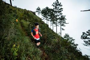 BIB: 
                            <button type="button" onclick="openModal(25018169)" class="btn btn-primary btn-sm float-right btn-popup" data-toggle="modal" data-target=".modal-high-quality">
                        <i class="fas fa-shopping-cart"></i> Add to Cart
                    </button>
                                            <button type="button" onclick="isThisMe(25018169, true)" class="btn btn-success btn-sm float-right btn-popup btn-isme hidden" data-toggle="tooltip" data-placement="bottom" title="นี่คือรูปของคุณใช่ไหม คลิกที่นี่เพื่อเอาเข้าอัลบั้ม">
                        <i class="fas fa-plus"></i> Add to album
                    </button>
                    <button type="button" onclick="isThisMe(25018169, false)" class="btn btn-warning btn-sm float-right btn-popup btn-isnotme hidden">
                        <i class="fas fa-ban"></i> Remove from album
                    </button>