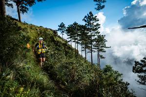 BIB: 
                            <button type="button" onclick="openModal(25019206)" class="btn btn-primary btn-sm float-right btn-popup" data-toggle="modal" data-target=".modal-high-quality">
                        <i class="fas fa-shopping-cart"></i> Add to Cart
                    </button>
                                            <button type="button" onclick="isThisMe(25019206, true)" class="btn btn-success btn-sm float-right btn-popup btn-isme hidden" data-toggle="tooltip" data-placement="bottom" title="นี่คือรูปของคุณใช่ไหม คลิกที่นี่เพื่อเอาเข้าอัลบั้ม">
                        <i class="fas fa-plus"></i> Add to album
                    </button>
                    <button type="button" onclick="isThisMe(25019206, false)" class="btn btn-warning btn-sm float-right btn-popup btn-isnotme hidden">
                        <i class="fas fa-ban"></i> Remove from album
                    </button>