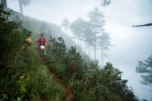 BIB: 
                            <button type="button" onclick="openModal(25016997)" class="btn btn-primary btn-sm float-right btn-popup" data-toggle="modal" data-target=".modal-high-quality">
                        <i class="fas fa-shopping-cart"></i> Add to Cart
                    </button>
                                            <button type="button" onclick="isThisMe(25016997, true)" class="btn btn-success btn-sm float-right btn-popup btn-isme hidden" data-toggle="tooltip" data-placement="bottom" title="นี่คือรูปของคุณใช่ไหม คลิกที่นี่เพื่อเอาเข้าอัลบั้ม">
                        <i class="fas fa-plus"></i> Add to album
                    </button>
                    <button type="button" onclick="isThisMe(25016997, false)" class="btn btn-warning btn-sm float-right btn-popup btn-isnotme hidden">
                        <i class="fas fa-ban"></i> Remove from album
                    </button>