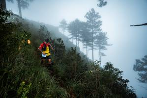 BIB: 
                            <button type="button" onclick="openModal(25018916)" class="btn btn-primary btn-sm float-right btn-popup" data-toggle="modal" data-target=".modal-high-quality">
                        <i class="fas fa-shopping-cart"></i> Add to Cart
                    </button>
                                            <button type="button" onclick="isThisMe(25018916, true)" class="btn btn-success btn-sm float-right btn-popup btn-isme hidden" data-toggle="tooltip" data-placement="bottom" title="นี่คือรูปของคุณใช่ไหม คลิกที่นี่เพื่อเอาเข้าอัลบั้ม">
                        <i class="fas fa-plus"></i> Add to album
                    </button>
                    <button type="button" onclick="isThisMe(25018916, false)" class="btn btn-warning btn-sm float-right btn-popup btn-isnotme hidden">
                        <i class="fas fa-ban"></i> Remove from album
                    </button>