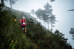 BIB: 
                            <button type="button" onclick="openModal(25018008)" class="btn btn-primary btn-sm float-right btn-popup" data-toggle="modal" data-target=".modal-high-quality">
                        <i class="fas fa-shopping-cart"></i> Add to Cart
                    </button>
                                            <button type="button" onclick="isThisMe(25018008, true)" class="btn btn-success btn-sm float-right btn-popup btn-isme hidden" data-toggle="tooltip" data-placement="bottom" title="นี่คือรูปของคุณใช่ไหม คลิกที่นี่เพื่อเอาเข้าอัลบั้ม">
                        <i class="fas fa-plus"></i> Add to album
                    </button>
                    <button type="button" onclick="isThisMe(25018008, false)" class="btn btn-warning btn-sm float-right btn-popup btn-isnotme hidden">
                        <i class="fas fa-ban"></i> Remove from album
                    </button>