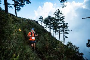 BIB: 
                            <button type="button" onclick="openModal(25019083)" class="btn btn-primary btn-sm float-right btn-popup" data-toggle="modal" data-target=".modal-high-quality">
                        <i class="fas fa-shopping-cart"></i> Add to Cart
                    </button>
                                            <button type="button" onclick="isThisMe(25019083, true)" class="btn btn-success btn-sm float-right btn-popup btn-isme hidden" data-toggle="tooltip" data-placement="bottom" title="นี่คือรูปของคุณใช่ไหม คลิกที่นี่เพื่อเอาเข้าอัลบั้ม">
                        <i class="fas fa-plus"></i> Add to album
                    </button>
                    <button type="button" onclick="isThisMe(25019083, false)" class="btn btn-warning btn-sm float-right btn-popup btn-isnotme hidden">
                        <i class="fas fa-ban"></i> Remove from album
                    </button>