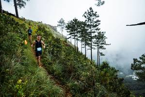 BIB: 
                            <button type="button" onclick="openModal(25017295)" class="btn btn-primary btn-sm float-right btn-popup" data-toggle="modal" data-target=".modal-high-quality">
                        <i class="fas fa-shopping-cart"></i> Add to Cart
                    </button>
                                            <button type="button" onclick="isThisMe(25017295, true)" class="btn btn-success btn-sm float-right btn-popup btn-isme hidden" data-toggle="tooltip" data-placement="bottom" title="นี่คือรูปของคุณใช่ไหม คลิกที่นี่เพื่อเอาเข้าอัลบั้ม">
                        <i class="fas fa-plus"></i> Add to album
                    </button>
                    <button type="button" onclick="isThisMe(25017295, false)" class="btn btn-warning btn-sm float-right btn-popup btn-isnotme hidden">
                        <i class="fas fa-ban"></i> Remove from album
                    </button>