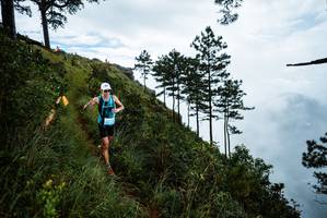 BIB: 
                            <button type="button" onclick="openModal(25017087)" class="btn btn-primary btn-sm float-right btn-popup" data-toggle="modal" data-target=".modal-high-quality">
                        <i class="fas fa-shopping-cart"></i> Add to Cart
                    </button>
                                            <button type="button" onclick="isThisMe(25017087, true)" class="btn btn-success btn-sm float-right btn-popup btn-isme hidden" data-toggle="tooltip" data-placement="bottom" title="นี่คือรูปของคุณใช่ไหม คลิกที่นี่เพื่อเอาเข้าอัลบั้ม">
                        <i class="fas fa-plus"></i> Add to album
                    </button>
                    <button type="button" onclick="isThisMe(25017087, false)" class="btn btn-warning btn-sm float-right btn-popup btn-isnotme hidden">
                        <i class="fas fa-ban"></i> Remove from album
                    </button>