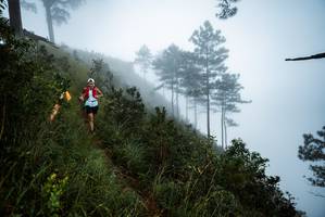 BIB: 
                            <button type="button" onclick="openModal(25017051)" class="btn btn-primary btn-sm float-right btn-popup" data-toggle="modal" data-target=".modal-high-quality">
                        <i class="fas fa-shopping-cart"></i> Add to Cart
                    </button>
                                            <button type="button" onclick="isThisMe(25017051, true)" class="btn btn-success btn-sm float-right btn-popup btn-isme hidden" data-toggle="tooltip" data-placement="bottom" title="นี่คือรูปของคุณใช่ไหม คลิกที่นี่เพื่อเอาเข้าอัลบั้ม">
                        <i class="fas fa-plus"></i> Add to album
                    </button>
                    <button type="button" onclick="isThisMe(25017051, false)" class="btn btn-warning btn-sm float-right btn-popup btn-isnotme hidden">
                        <i class="fas fa-ban"></i> Remove from album
                    </button>