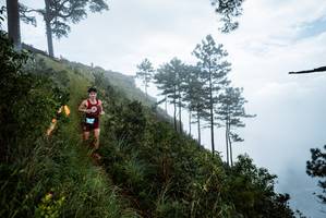 BIB: 
                            <button type="button" onclick="openModal(25017095)" class="btn btn-primary btn-sm float-right btn-popup" data-toggle="modal" data-target=".modal-high-quality">
                        <i class="fas fa-shopping-cart"></i> Add to Cart
                    </button>
                                            <button type="button" onclick="isThisMe(25017095, true)" class="btn btn-success btn-sm float-right btn-popup btn-isme hidden" data-toggle="tooltip" data-placement="bottom" title="นี่คือรูปของคุณใช่ไหม คลิกที่นี่เพื่อเอาเข้าอัลบั้ม">
                        <i class="fas fa-plus"></i> Add to album
                    </button>
                    <button type="button" onclick="isThisMe(25017095, false)" class="btn btn-warning btn-sm float-right btn-popup btn-isnotme hidden">
                        <i class="fas fa-ban"></i> Remove from album
                    </button>