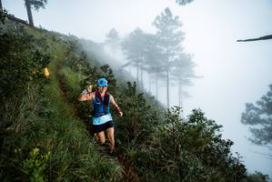 BIB: 
                            <button type="button" onclick="openModal(25018995)" class="btn btn-primary btn-sm float-right btn-popup" data-toggle="modal" data-target=".modal-high-quality">
                        <i class="fas fa-shopping-cart"></i> Add to Cart
                    </button>
                                            <button type="button" onclick="isThisMe(25018995, true)" class="btn btn-success btn-sm float-right btn-popup btn-isme hidden" data-toggle="tooltip" data-placement="bottom" title="นี่คือรูปของคุณใช่ไหม คลิกที่นี่เพื่อเอาเข้าอัลบั้ม">
                        <i class="fas fa-plus"></i> Add to album
                    </button>
                    <button type="button" onclick="isThisMe(25018995, false)" class="btn btn-warning btn-sm float-right btn-popup btn-isnotme hidden">
                        <i class="fas fa-ban"></i> Remove from album
                    </button>