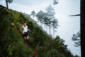 BIB: 
                            <button type="button" onclick="openModal(25016990)" class="btn btn-primary btn-sm float-right btn-popup" data-toggle="modal" data-target=".modal-high-quality">
                        <i class="fas fa-shopping-cart"></i> Add to Cart
                    </button>
                                            <button type="button" onclick="isThisMe(25016990, true)" class="btn btn-success btn-sm float-right btn-popup btn-isme hidden" data-toggle="tooltip" data-placement="bottom" title="นี่คือรูปของคุณใช่ไหม คลิกที่นี่เพื่อเอาเข้าอัลบั้ม">
                        <i class="fas fa-plus"></i> Add to album
                    </button>
                    <button type="button" onclick="isThisMe(25016990, false)" class="btn btn-warning btn-sm float-right btn-popup btn-isnotme hidden">
                        <i class="fas fa-ban"></i> Remove from album
                    </button>