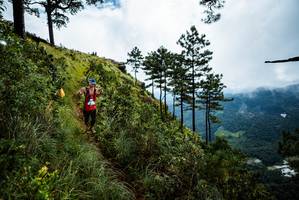 BIB: 
                            <button type="button" onclick="openModal(25017318)" class="btn btn-primary btn-sm float-right btn-popup" data-toggle="modal" data-target=".modal-high-quality">
                        <i class="fas fa-shopping-cart"></i> Add to Cart
                    </button>
                                            <button type="button" onclick="isThisMe(25017318, true)" class="btn btn-success btn-sm float-right btn-popup btn-isme hidden" data-toggle="tooltip" data-placement="bottom" title="นี่คือรูปของคุณใช่ไหม คลิกที่นี่เพื่อเอาเข้าอัลบั้ม">
                        <i class="fas fa-plus"></i> Add to album
                    </button>
                    <button type="button" onclick="isThisMe(25017318, false)" class="btn btn-warning btn-sm float-right btn-popup btn-isnotme hidden">
                        <i class="fas fa-ban"></i> Remove from album
                    </button>