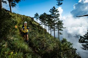 BIB: 
                            <button type="button" onclick="openModal(25019210)" class="btn btn-primary btn-sm float-right btn-popup" data-toggle="modal" data-target=".modal-high-quality">
                        <i class="fas fa-shopping-cart"></i> Add to Cart
                    </button>
                                            <button type="button" onclick="isThisMe(25019210, true)" class="btn btn-success btn-sm float-right btn-popup btn-isme hidden" data-toggle="tooltip" data-placement="bottom" title="นี่คือรูปของคุณใช่ไหม คลิกที่นี่เพื่อเอาเข้าอัลบั้ม">
                        <i class="fas fa-plus"></i> Add to album
                    </button>
                    <button type="button" onclick="isThisMe(25019210, false)" class="btn btn-warning btn-sm float-right btn-popup btn-isnotme hidden">
                        <i class="fas fa-ban"></i> Remove from album
                    </button>