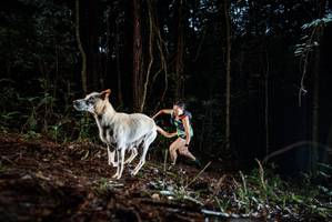 BIB: 
                            <button type="button" onclick="openModal(25011517)" class="btn btn-primary btn-sm float-right btn-popup" data-toggle="modal" data-target=".modal-high-quality">
                        <i class="fas fa-shopping-cart"></i> Add to Cart
                    </button>
                                            <button type="button" onclick="isThisMe(25011517, true)" class="btn btn-success btn-sm float-right btn-popup btn-isme hidden" data-toggle="tooltip" data-placement="bottom" title="นี่คือรูปของคุณใช่ไหม คลิกที่นี่เพื่อเอาเข้าอัลบั้ม">
                        <i class="fas fa-plus"></i> Add to album
                    </button>
                    <button type="button" onclick="isThisMe(25011517, false)" class="btn btn-warning btn-sm float-right btn-popup btn-isnotme hidden">
                        <i class="fas fa-ban"></i> Remove from album
                    </button>