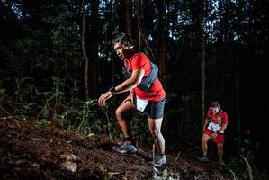 BIB: 025
                            <button type="button" onclick="openModal(25011981)" class="btn btn-primary btn-sm float-right btn-popup" data-toggle="modal" data-target=".modal-high-quality">
                        <i class="fas fa-shopping-cart"></i> Add to Cart
                    </button>
                                            <button type="button" onclick="isThisMe(25011981, true)" class="btn btn-success btn-sm float-right btn-popup btn-isme hidden" data-toggle="tooltip" data-placement="bottom" title="นี่คือรูปของคุณใช่ไหม คลิกที่นี่เพื่อเอาเข้าอัลบั้ม">
                        <i class="fas fa-plus"></i> Add to album
                    </button>
                    <button type="button" onclick="isThisMe(25011981, false)" class="btn btn-warning btn-sm float-right btn-popup btn-isnotme hidden">
                        <i class="fas fa-ban"></i> Remove from album
                    </button>