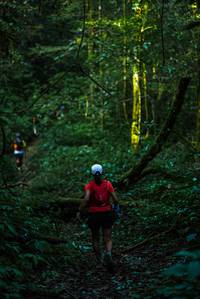 BIB: 
                            <button type="button" onclick="openModal(25015721)" class="btn btn-primary btn-sm float-right btn-popup" data-toggle="modal" data-target=".modal-high-quality">
                        <i class="fas fa-shopping-cart"></i> Add to Cart
                    </button>
                                            <button type="button" onclick="isThisMe(25015721, true)" class="btn btn-success btn-sm float-right btn-popup btn-isme hidden" data-toggle="tooltip" data-placement="bottom" title="นี่คือรูปของคุณใช่ไหม คลิกที่นี่เพื่อเอาเข้าอัลบั้ม">
                        <i class="fas fa-plus"></i> Add to album
                    </button>
                    <button type="button" onclick="isThisMe(25015721, false)" class="btn btn-warning btn-sm float-right btn-popup btn-isnotme hidden">
                        <i class="fas fa-ban"></i> Remove from album
                    </button>