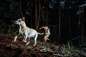 BIB: 
                            <button type="button" onclick="openModal(25011515)" class="btn btn-primary btn-sm float-right btn-popup" data-toggle="modal" data-target=".modal-high-quality">
                        <i class="fas fa-shopping-cart"></i> Add to Cart
                    </button>
                                            <button type="button" onclick="isThisMe(25011515, true)" class="btn btn-success btn-sm float-right btn-popup btn-isme hidden" data-toggle="tooltip" data-placement="bottom" title="นี่คือรูปของคุณใช่ไหม คลิกที่นี่เพื่อเอาเข้าอัลบั้ม">
                        <i class="fas fa-plus"></i> Add to album
                    </button>
                    <button type="button" onclick="isThisMe(25011515, false)" class="btn btn-warning btn-sm float-right btn-popup btn-isnotme hidden">
                        <i class="fas fa-ban"></i> Remove from album
                    </button>