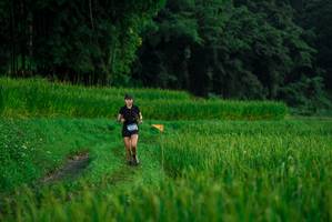 BIB: 
                            <button type="button" onclick="openModal(25013340)" class="btn btn-primary btn-sm float-right btn-popup" data-toggle="modal" data-target=".modal-high-quality">
                        <i class="fas fa-shopping-cart"></i> Add to Cart
                    </button>
                                            <button type="button" onclick="isThisMe(25013340, true)" class="btn btn-success btn-sm float-right btn-popup btn-isme hidden" data-toggle="tooltip" data-placement="bottom" title="นี่คือรูปของคุณใช่ไหม คลิกที่นี่เพื่อเอาเข้าอัลบั้ม">
                        <i class="fas fa-plus"></i> Add to album
                    </button>
                    <button type="button" onclick="isThisMe(25013340, false)" class="btn btn-warning btn-sm float-right btn-popup btn-isnotme hidden">
                        <i class="fas fa-ban"></i> Remove from album
                    </button>