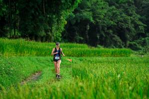 BIB: 
                            <button type="button" onclick="openModal(25013570)" class="btn btn-primary btn-sm float-right btn-popup" data-toggle="modal" data-target=".modal-high-quality">
                        <i class="fas fa-shopping-cart"></i> Add to Cart
                    </button>
                                            <button type="button" onclick="isThisMe(25013570, true)" class="btn btn-success btn-sm float-right btn-popup btn-isme hidden" data-toggle="tooltip" data-placement="bottom" title="นี่คือรูปของคุณใช่ไหม คลิกที่นี่เพื่อเอาเข้าอัลบั้ม">
                        <i class="fas fa-plus"></i> Add to album
                    </button>
                    <button type="button" onclick="isThisMe(25013570, false)" class="btn btn-warning btn-sm float-right btn-popup btn-isnotme hidden">
                        <i class="fas fa-ban"></i> Remove from album
                    </button>