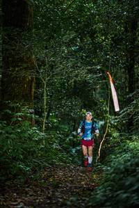 BIB: 
                            <button type="button" onclick="openModal(25015533)" class="btn btn-primary btn-sm float-right btn-popup" data-toggle="modal" data-target=".modal-high-quality">
                        <i class="fas fa-shopping-cart"></i> Add to Cart
                    </button>
                                            <button type="button" onclick="isThisMe(25015533, true)" class="btn btn-success btn-sm float-right btn-popup btn-isme hidden" data-toggle="tooltip" data-placement="bottom" title="นี่คือรูปของคุณใช่ไหม คลิกที่นี่เพื่อเอาเข้าอัลบั้ม">
                        <i class="fas fa-plus"></i> Add to album
                    </button>
                    <button type="button" onclick="isThisMe(25015533, false)" class="btn btn-warning btn-sm float-right btn-popup btn-isnotme hidden">
                        <i class="fas fa-ban"></i> Remove from album
                    </button>